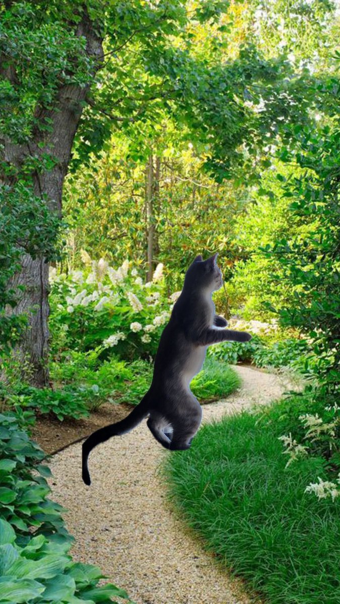 Pippin & Gigi tweet media