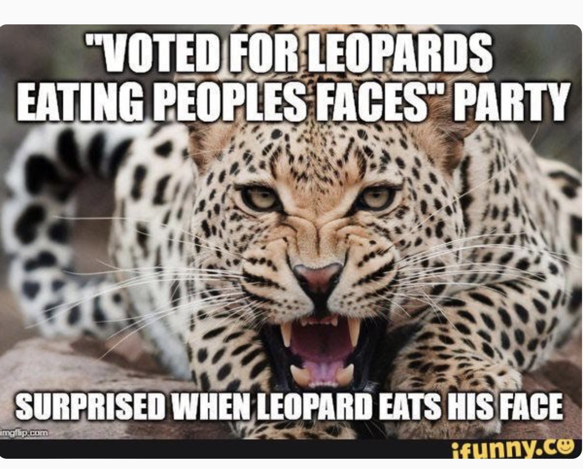 ..ღ..Midtown Toronto Pedestrian🇨🇦..ღ.. tweet media