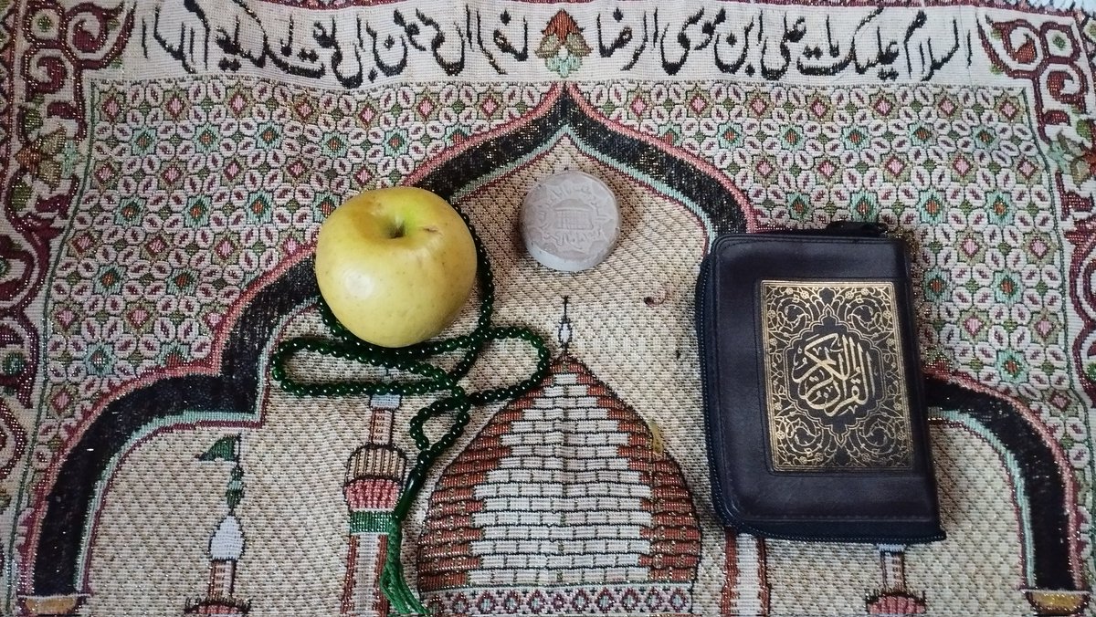 مصطفی محمودی tweet media