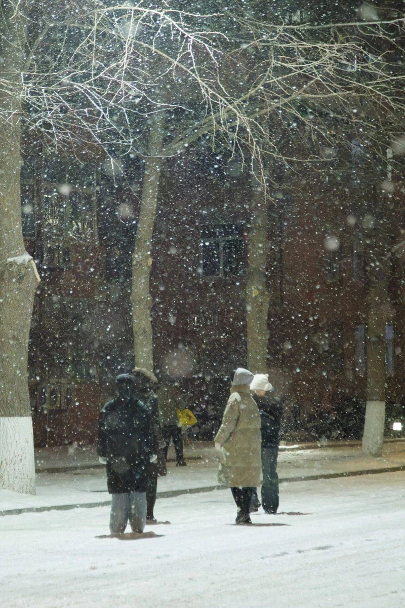 prasticia sevira tweet media