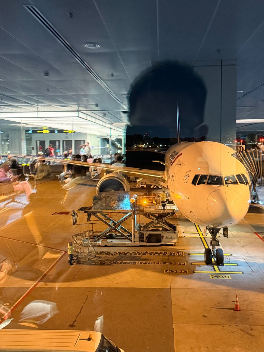 T ⚡️ tweet media