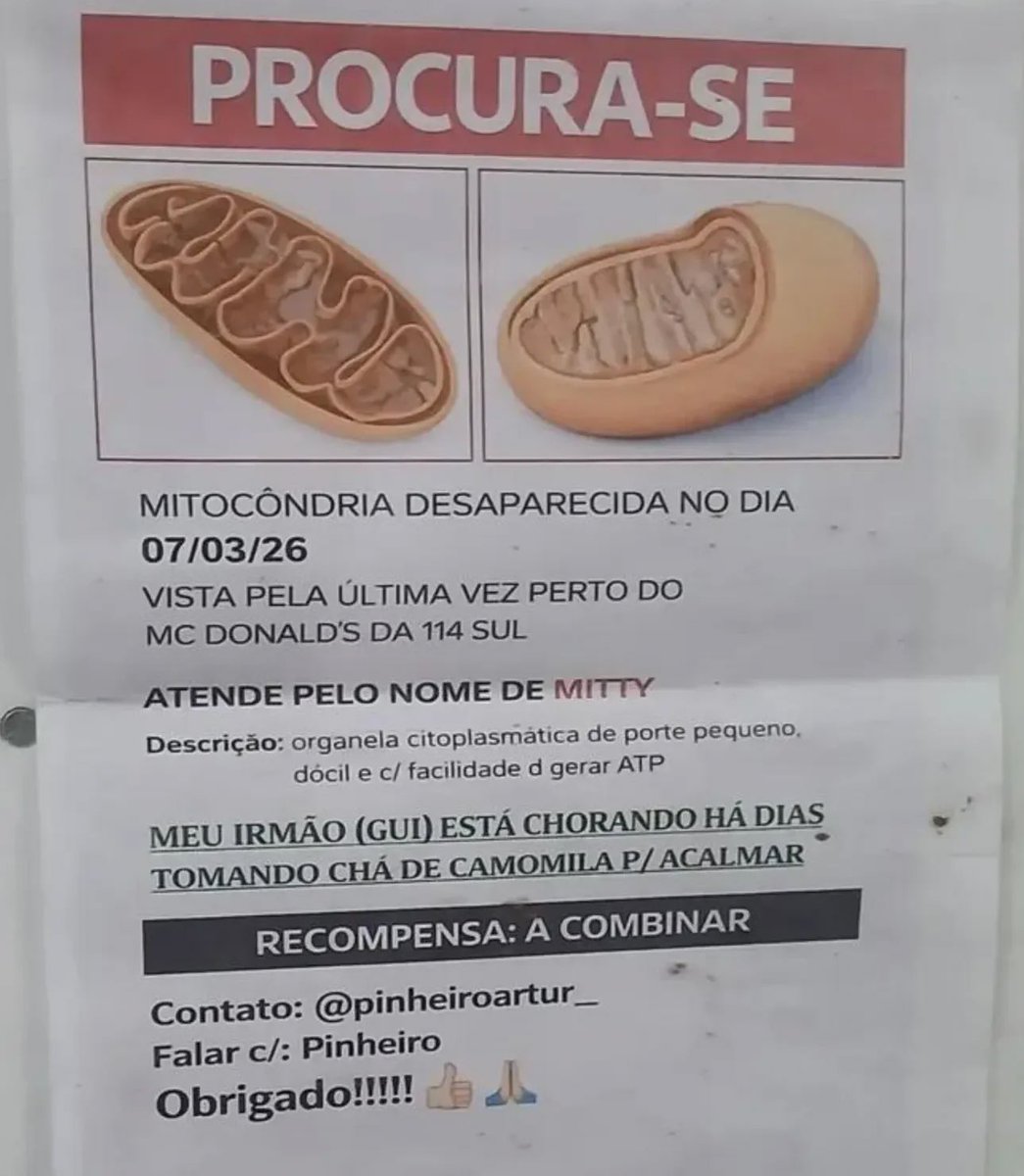 Shitpost só que de verdade tweet media