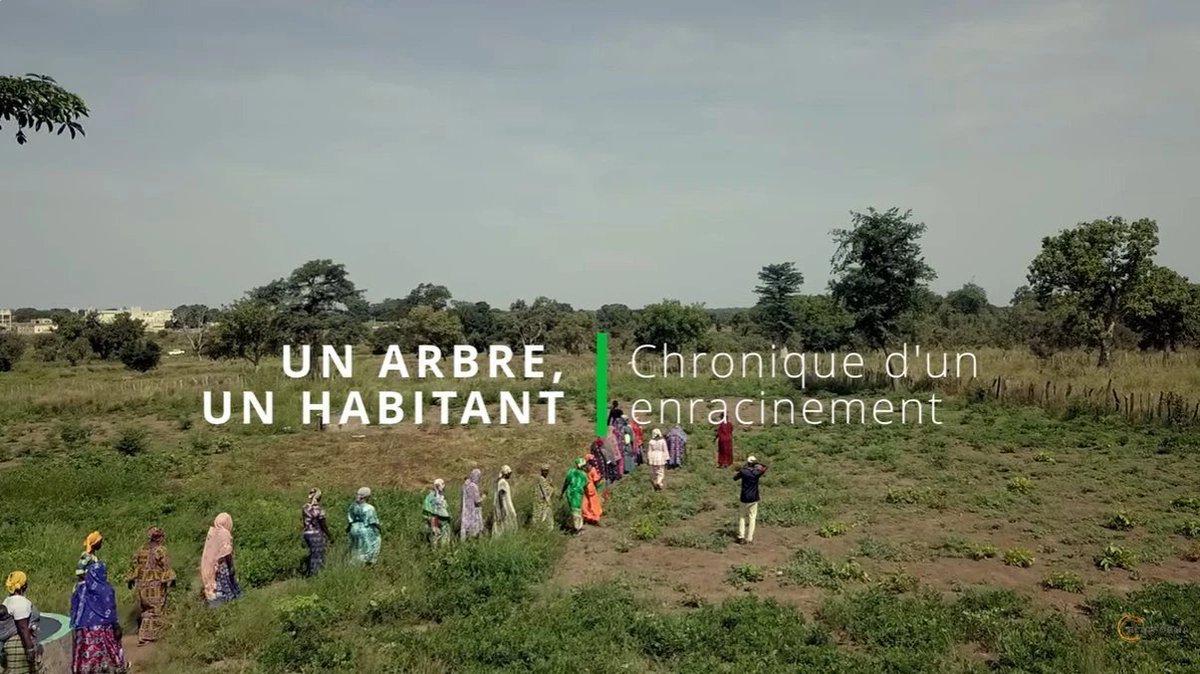 PLATFORMA tweet media