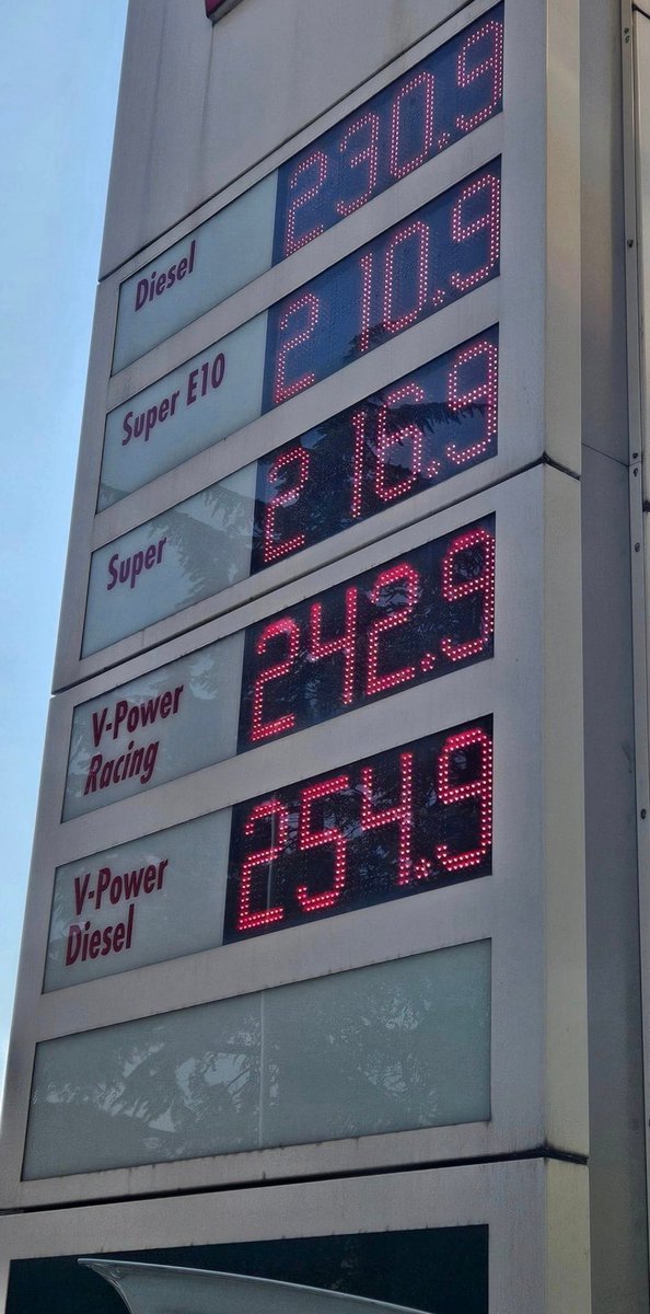 Basya und Tesla tweet media