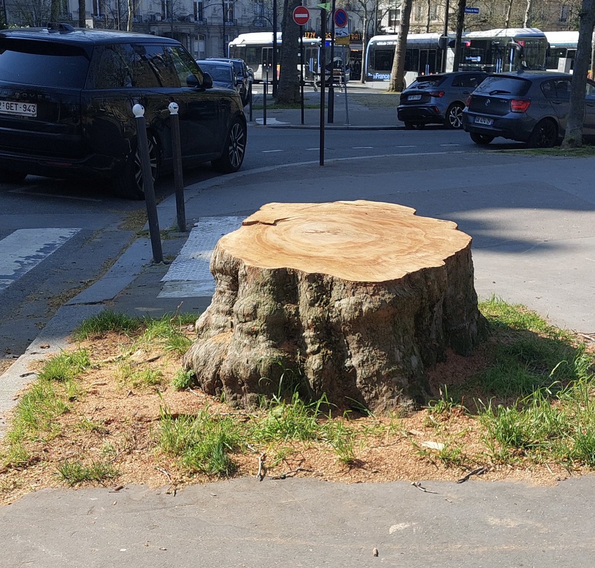 Les Amis du Champ-de-Mars tweet media