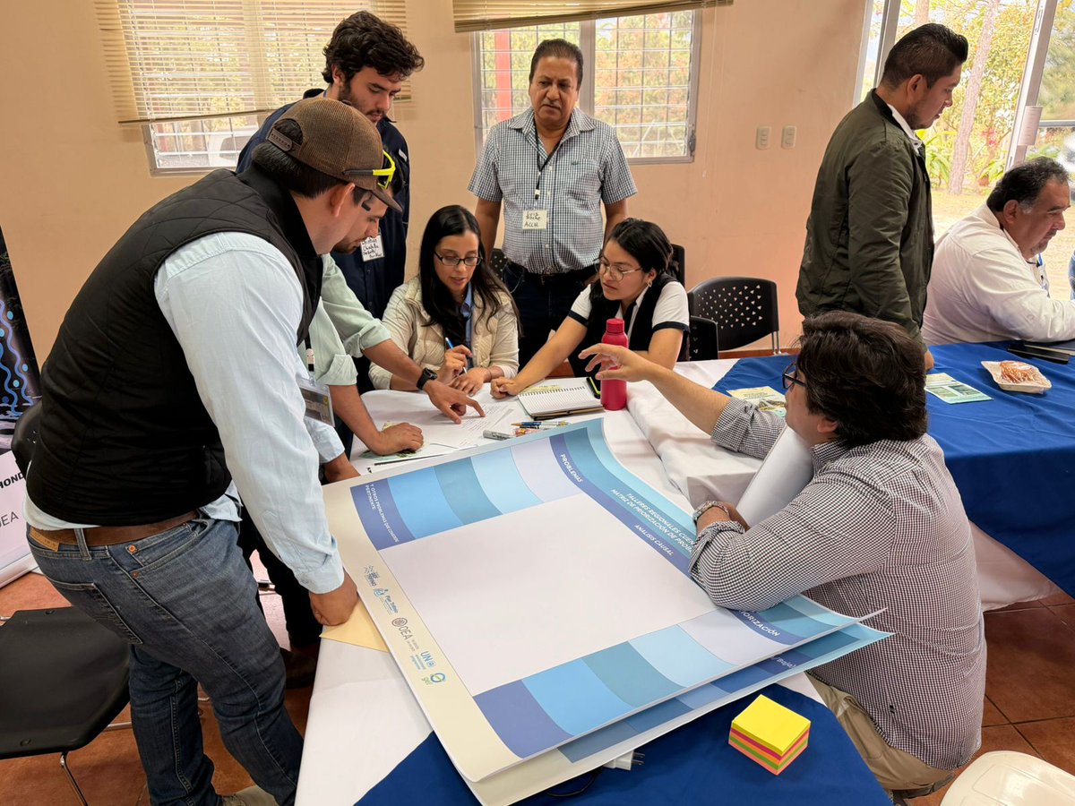 OAS Development tweet media