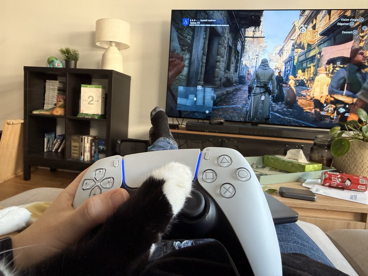 Slowpoke ԅ(¯﹃¯ԅ) tweet media