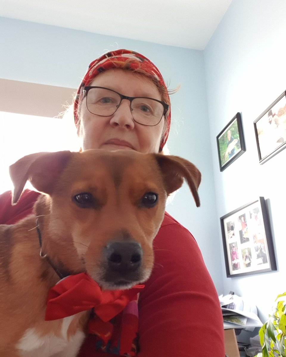 Window Ware tweet media