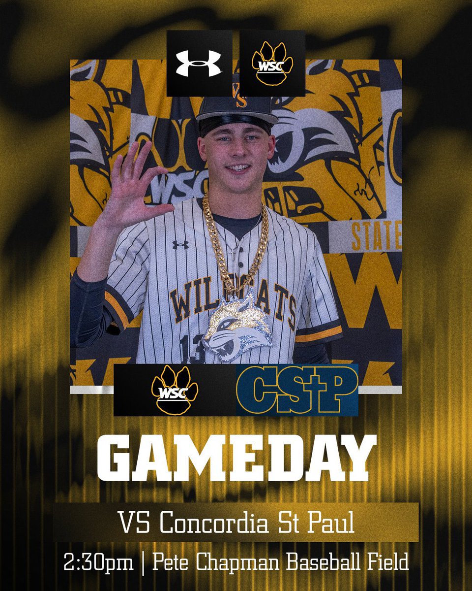 Wayne State Baseball tweet media