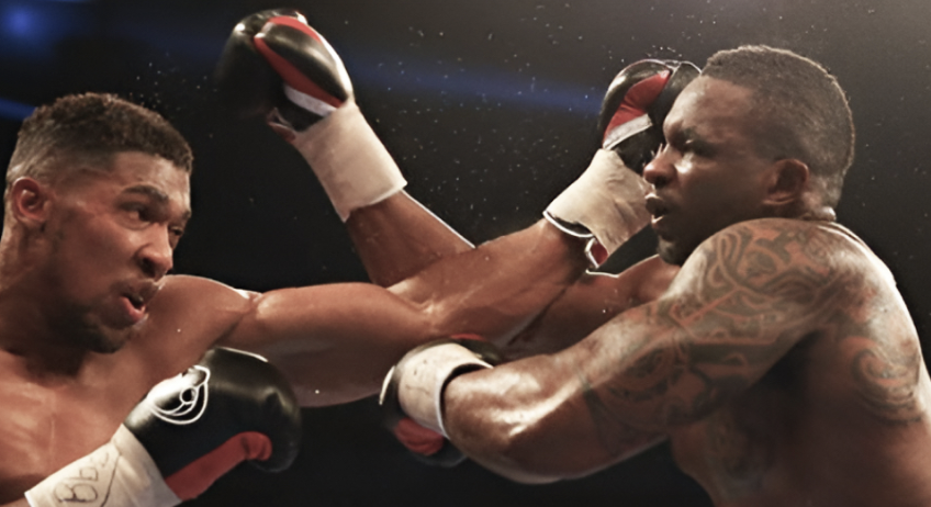 FIGHT SPORTS tweet media