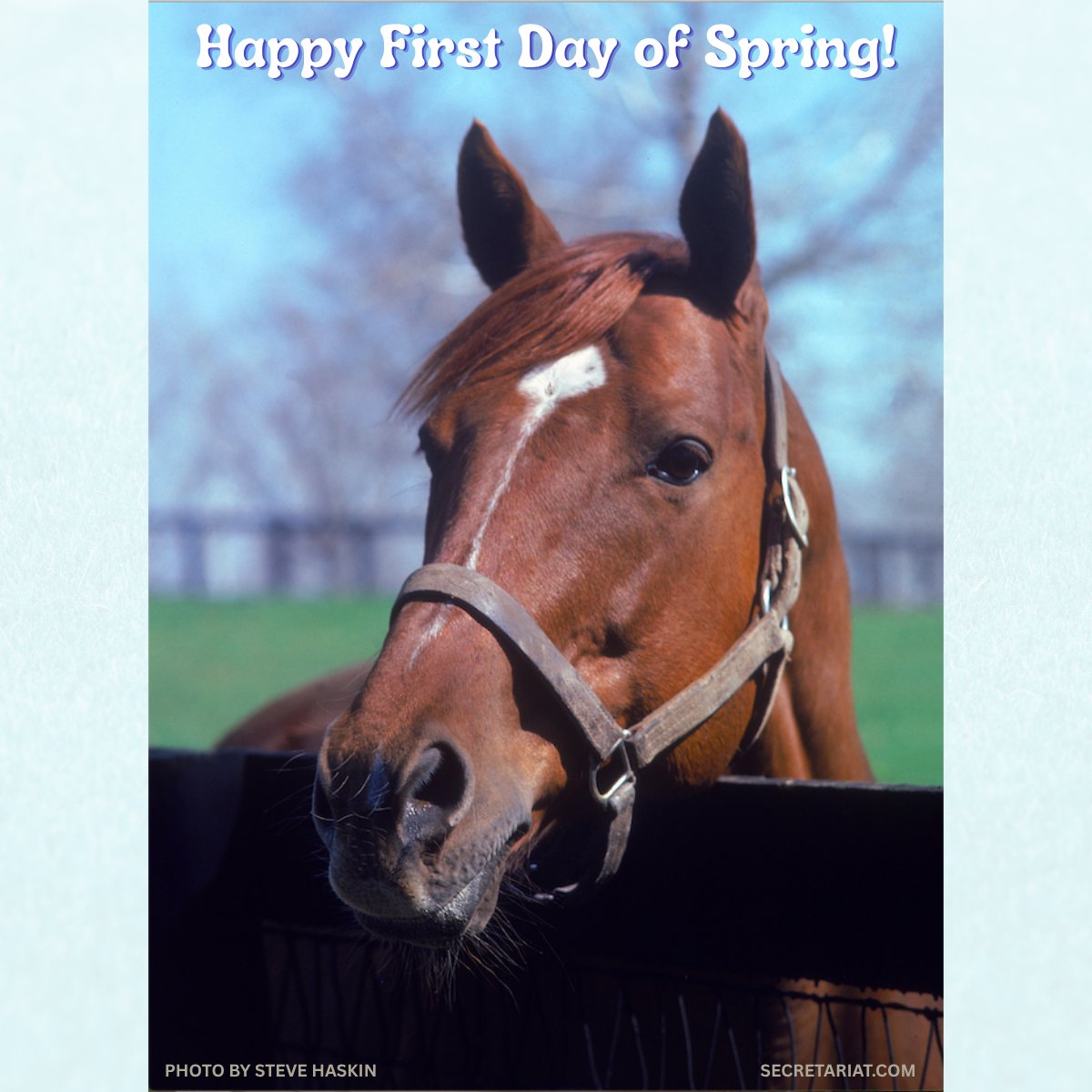 Secretariat tweet media