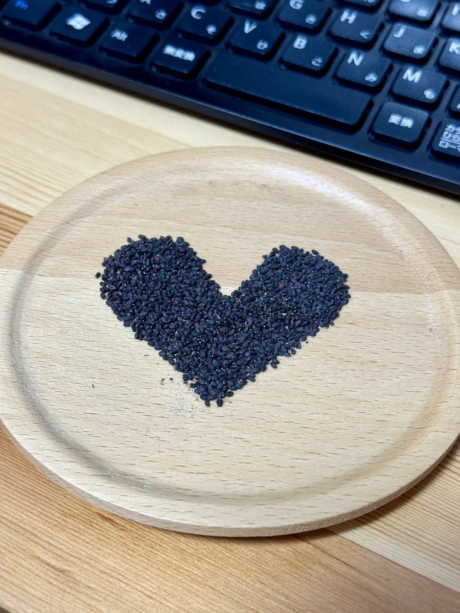 mire_coffee's tweet photo. 去年のi_TOPIAのイベントで貰ったバジルの種。
順調に育った結果、めちゃくちゃ種が採れました！
無限バジル突入だ🌿
もう少し暖かくなったら今年も種蒔いて育てようと思います🪴

#i_TOPIA 
#Number_i_TOPIA 
#Number_i https://t.co/SCMd0RYBLY