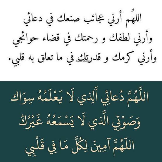 Ø♛فُوُفُوُ الُِعٍسلُِ♛࿐ tweet media