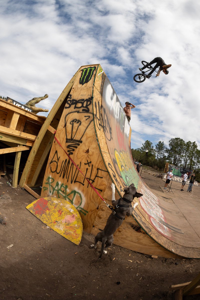 Profile Racing tweet media