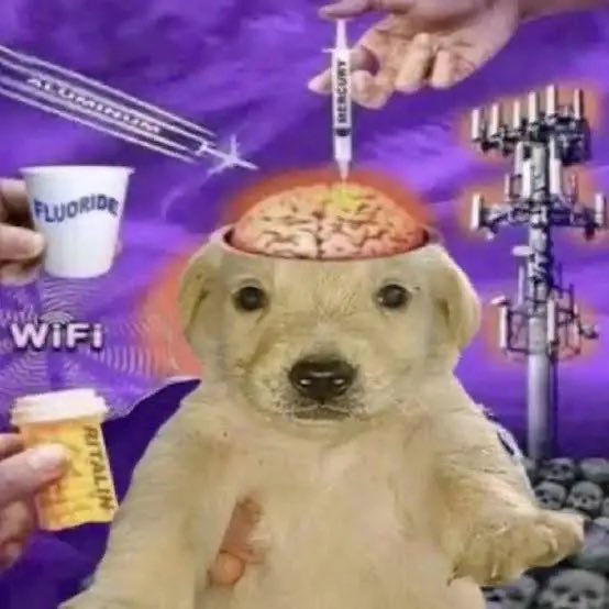 claire 🌙 tweet media