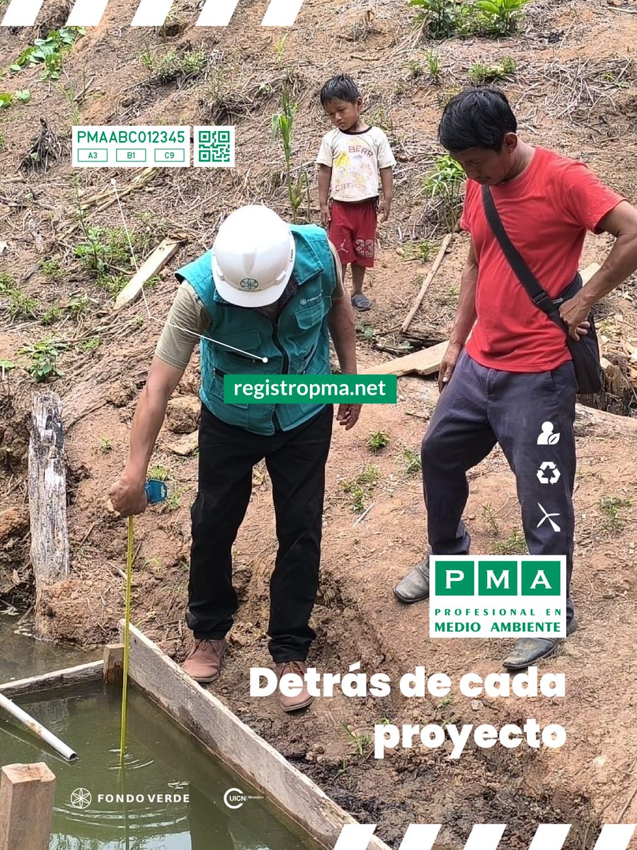 Fondo Verde tweet media