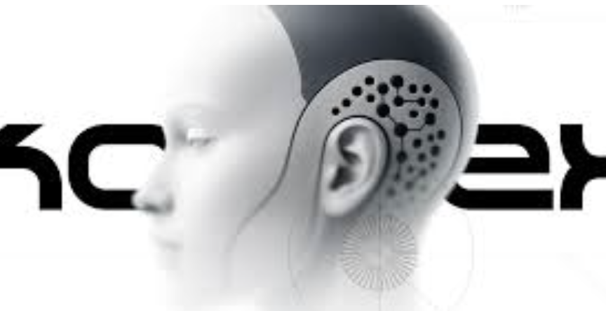 Twohwang tweet media