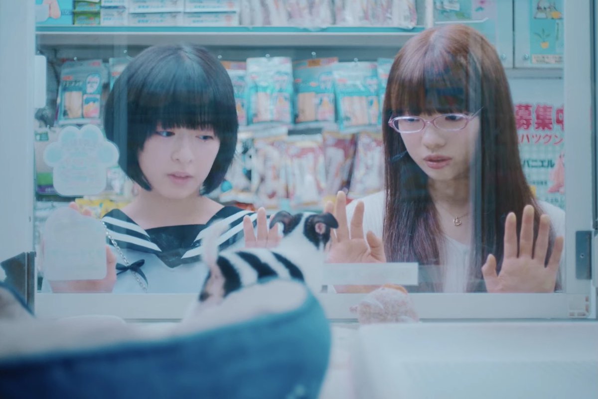 炎上』burn 〈makoto nagahisa, 2026〉 ✧ starring nana mori