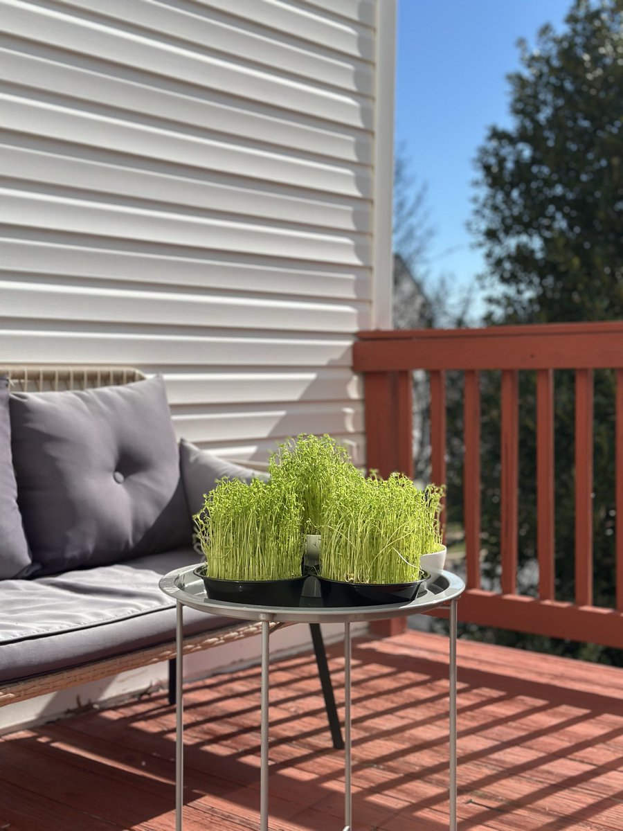 Sara Omatali tweet media