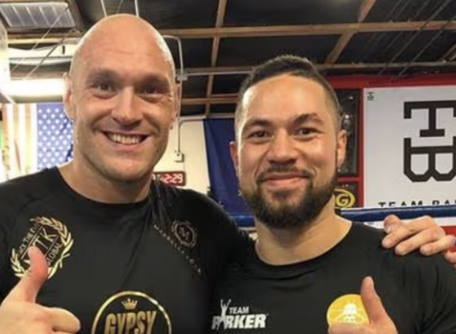 FIGHT SPORTS tweet media