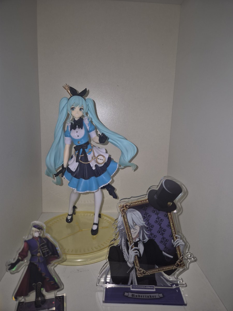 참치회 tweet media