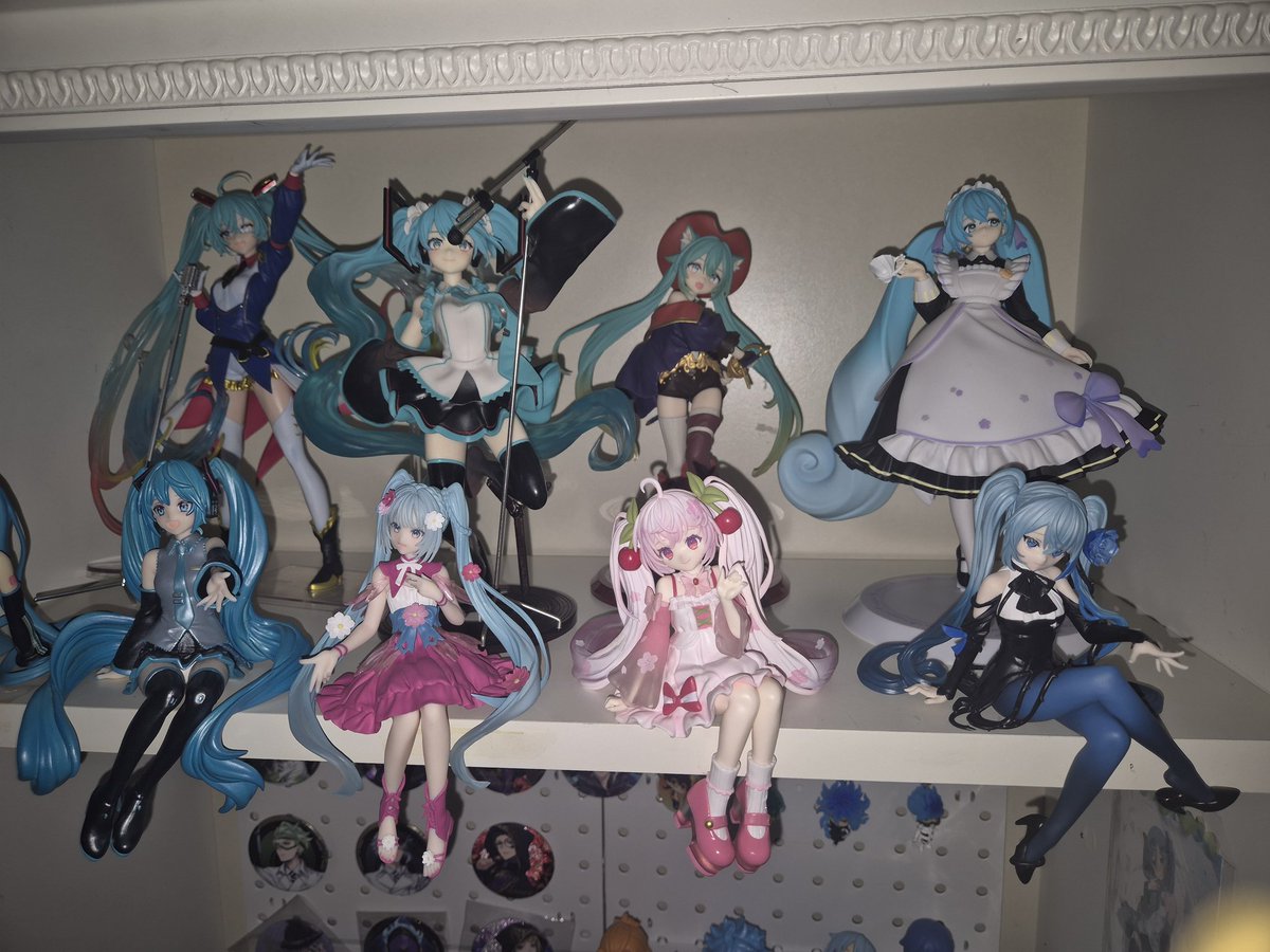 참치회 tweet media