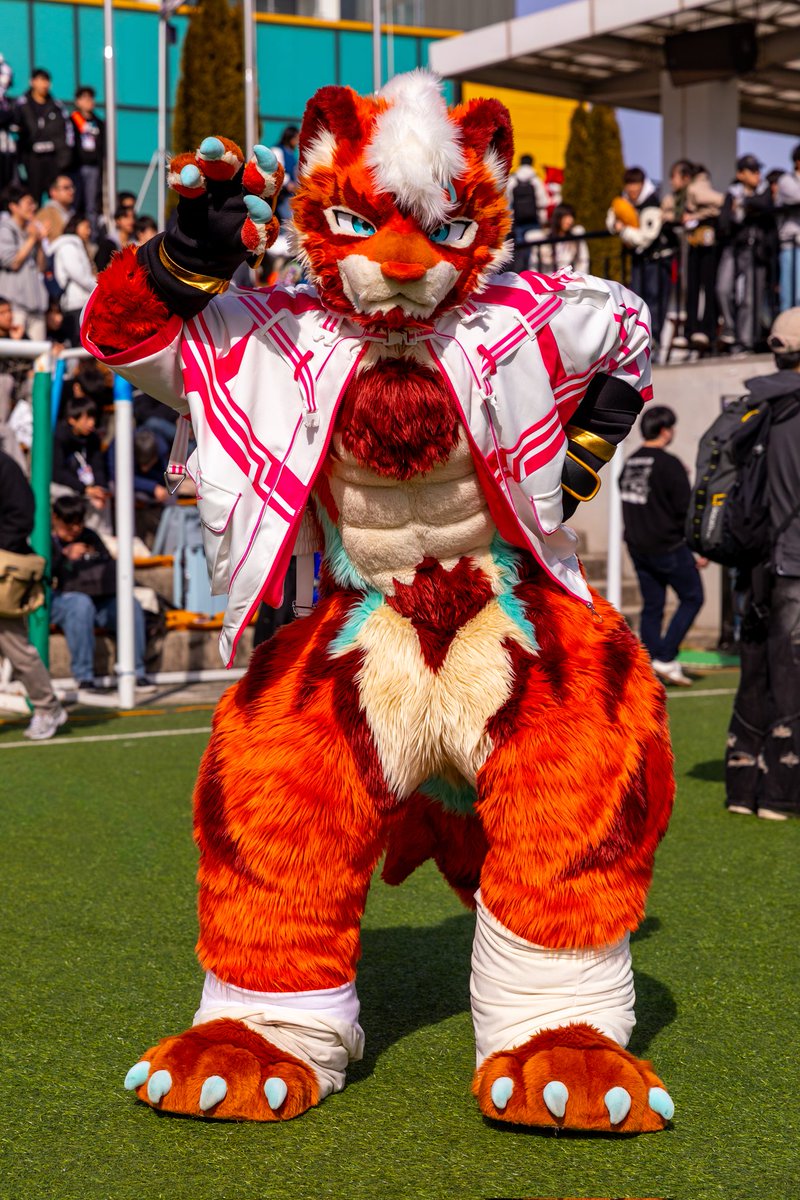 털뭉치앨범🍀 tweet media