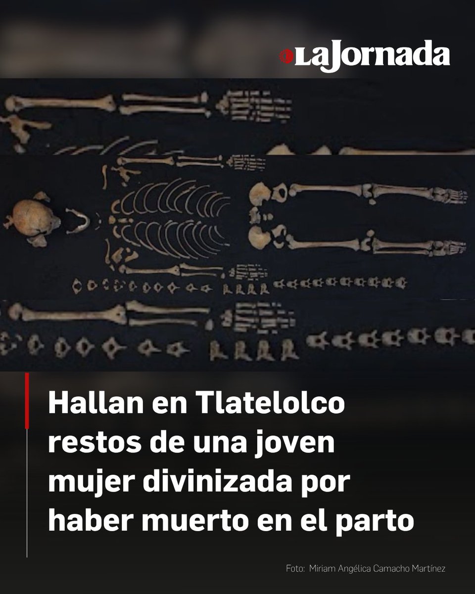 El Proyecto Tlatelolco del INAH reveló el hallazgo de un entierro de una joven de entre 15 y 17 años junto a un bebé de dos meses en el actual Centro Cultural Universitario Tlatelolco.

Según el director del proyecto, Salvador Guilliem, el contexto sugiere la veneración a las