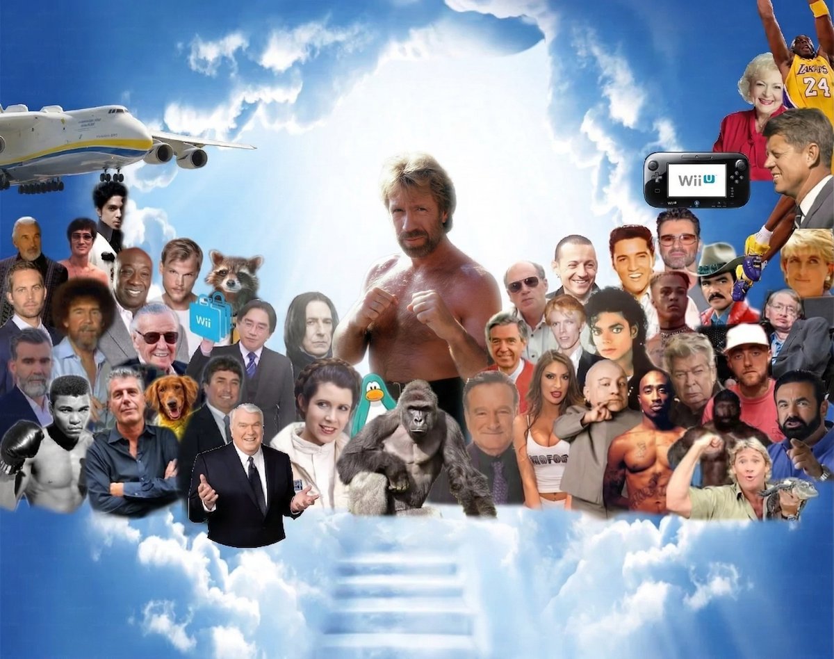 stepfanie tyler tweet media