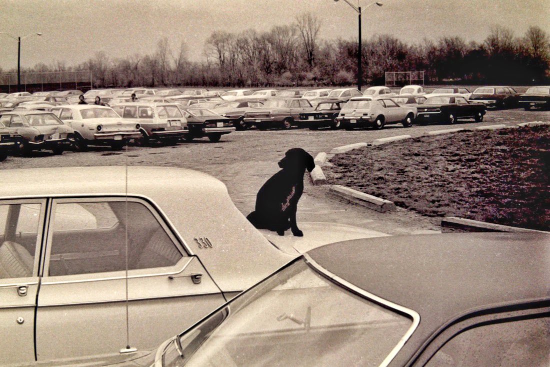 Dr. Ben Hartnell tweet media