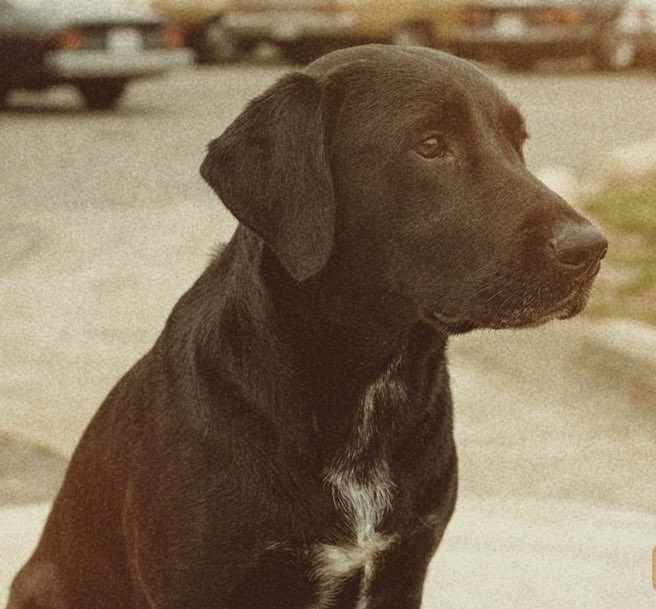 Dr. Ben Hartnell tweet media