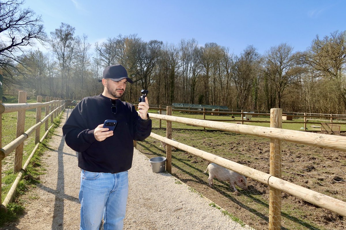 Ali Biçim tweet media