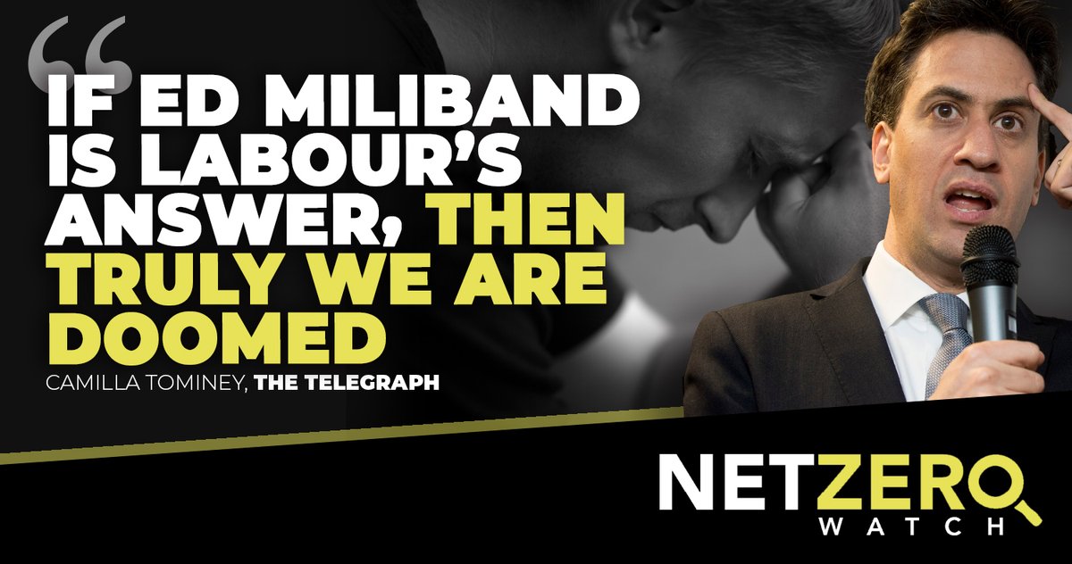 Net Zero Watch tweet media