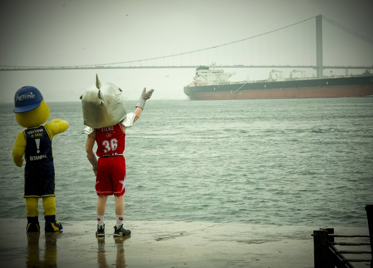 YellowTheCanary's tweet image. Istanbul Memories 📸

I took my dear friend Fiero for a walk through the streets of Istanbul 💛💙

Friendship in the streets, competition on the court. 
Stata una bella giornata! 🇮🇹✨

#Yellow