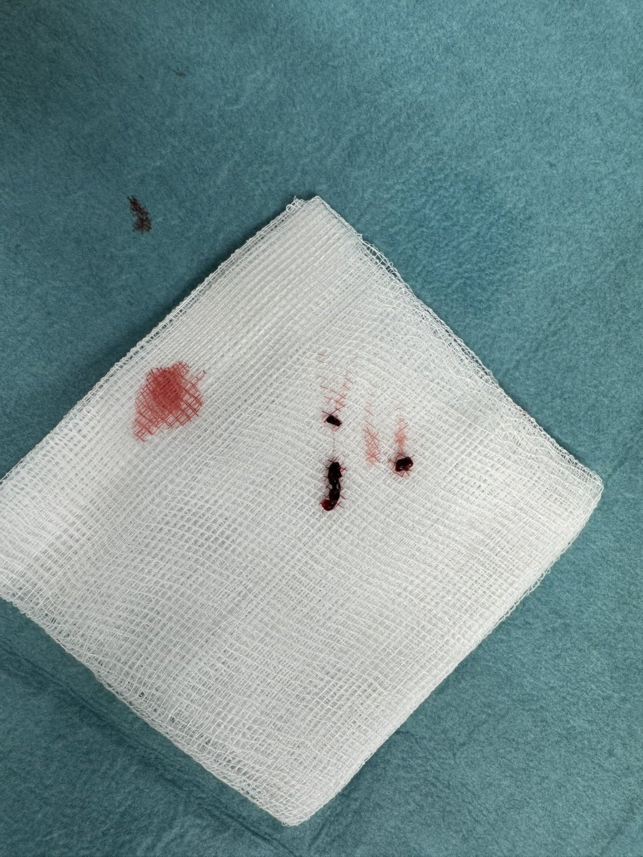 حسام الجهني Hosam Al-Jehani tweet media