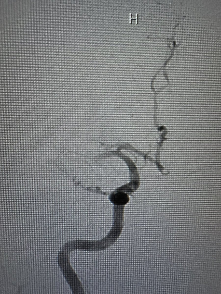 حسام الجهني Hosam Al-Jehani tweet media