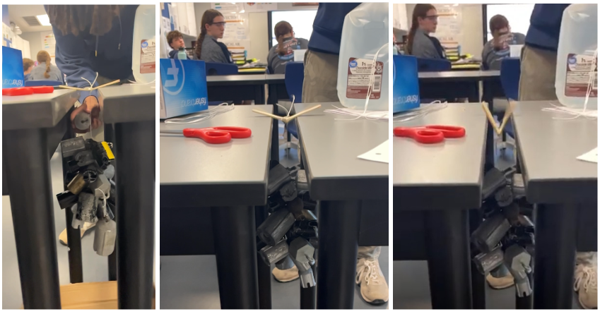 Seneca Falls CSD tweet media