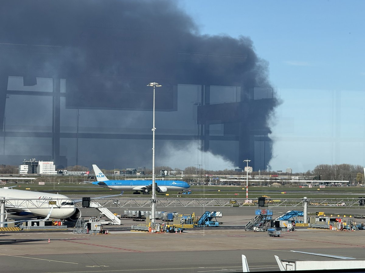 I’m a Millennial, so? 🥑 tweet media