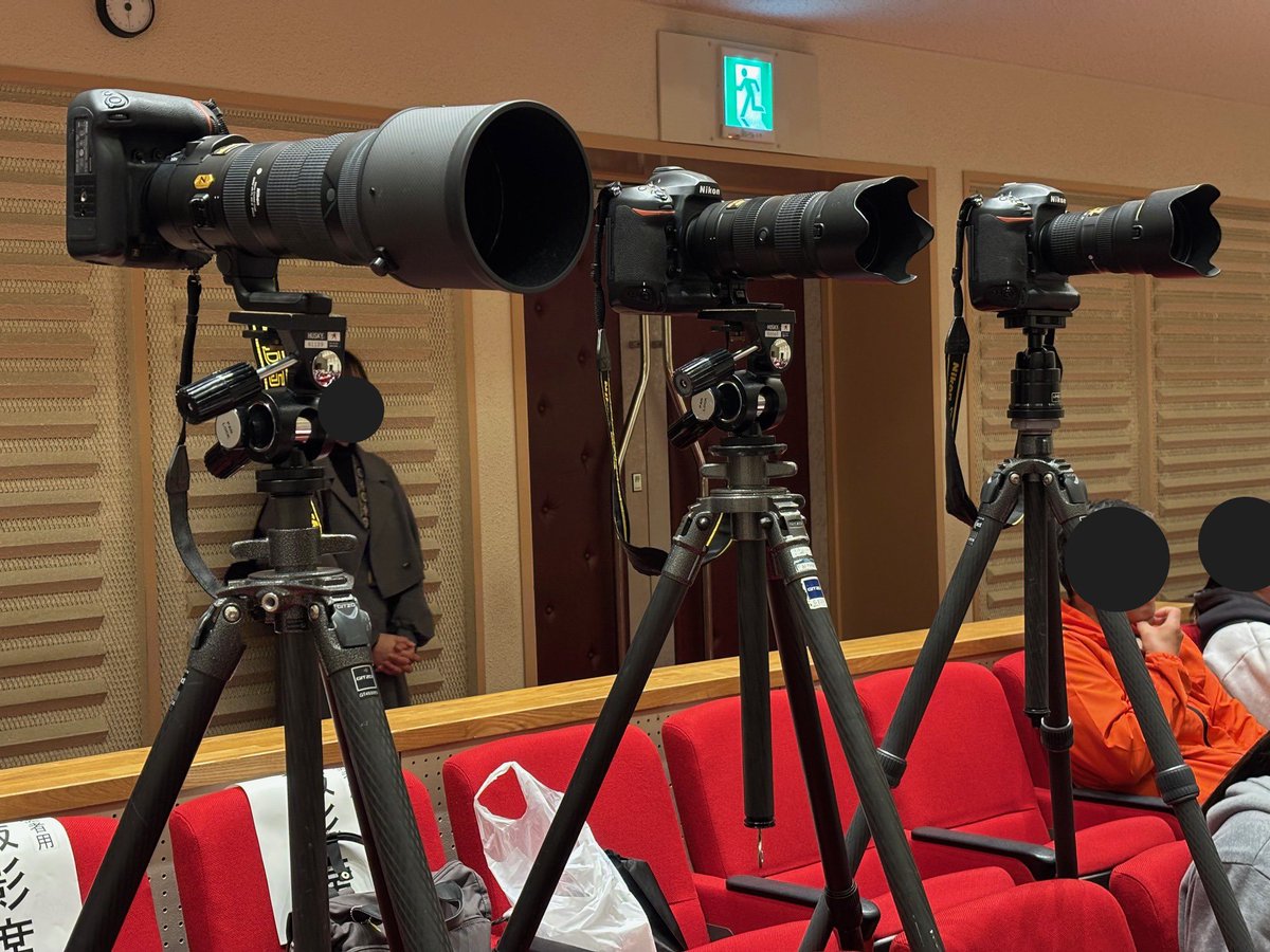 p.himapa tweet media