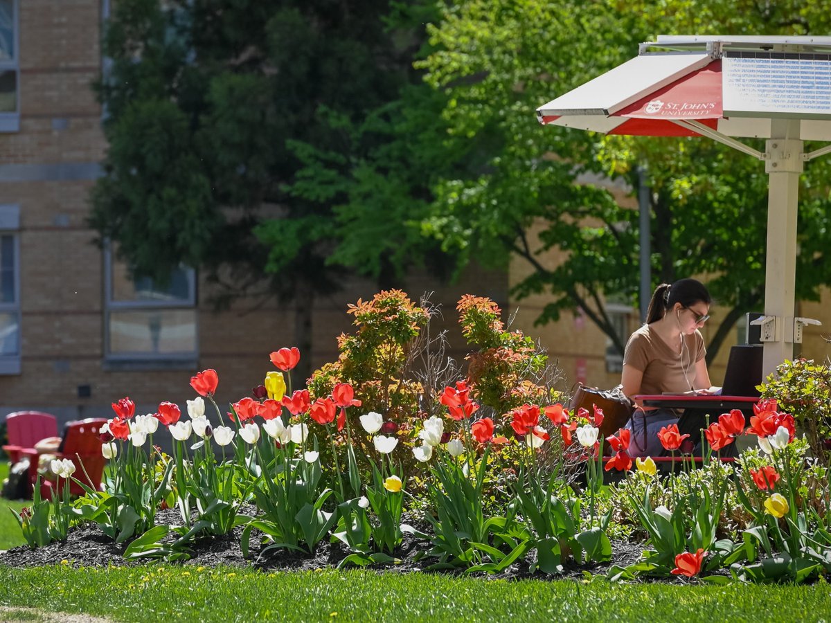 St. John's University tweet media