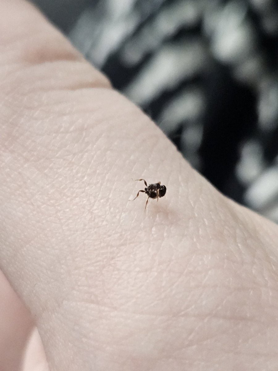 ⋆｡ﾟ☁︎ ruben / rylan ｡⋆｡ 🪲 ﾟ☾ ﾟ｡⋆ tweet media