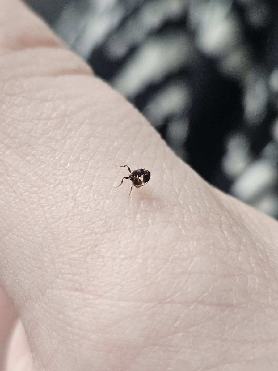 ⋆｡ﾟ☁︎ ruben / rylan ｡⋆｡ 🪲 ﾟ☾ ﾟ｡⋆ tweet media