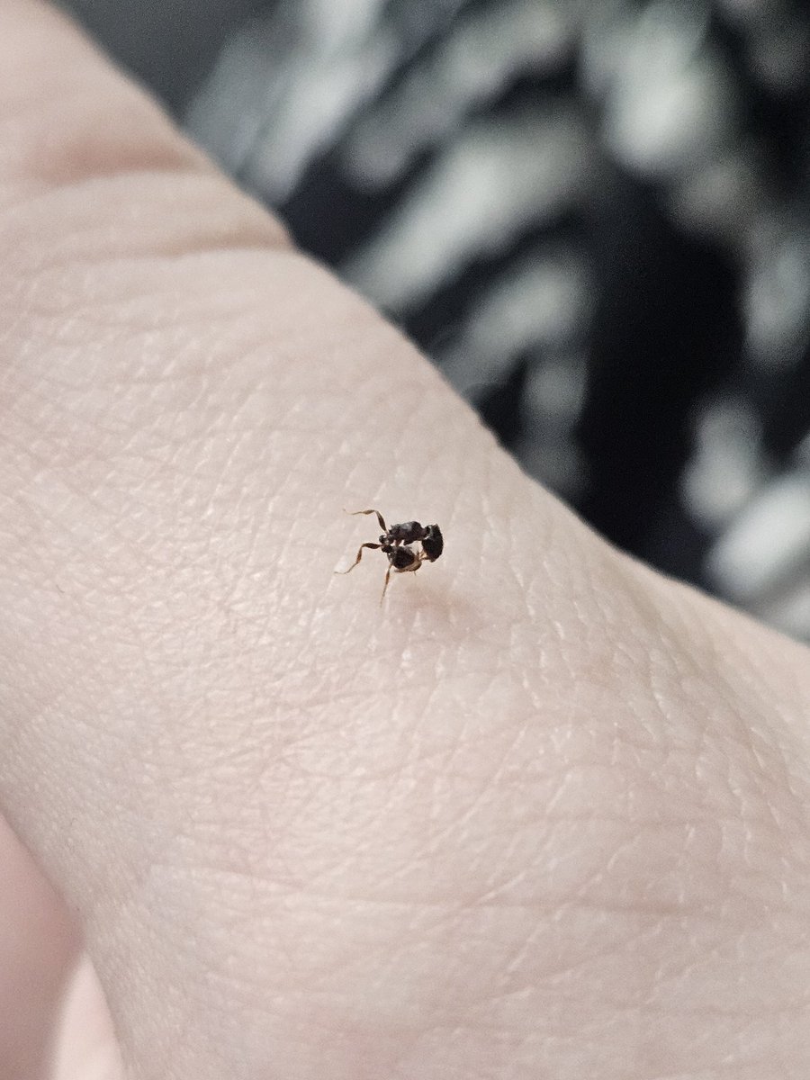 ⋆｡ﾟ☁︎ ruben / rylan ｡⋆｡ 🪲 ﾟ☾ ﾟ｡⋆ tweet media