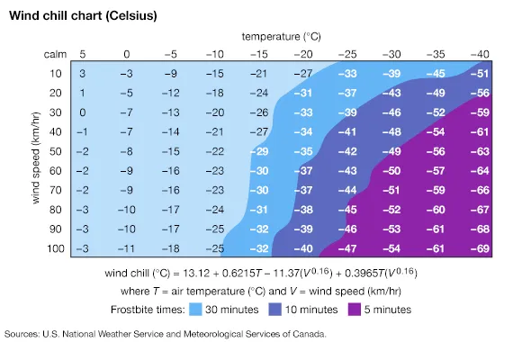 Blackpill Daily tweet media