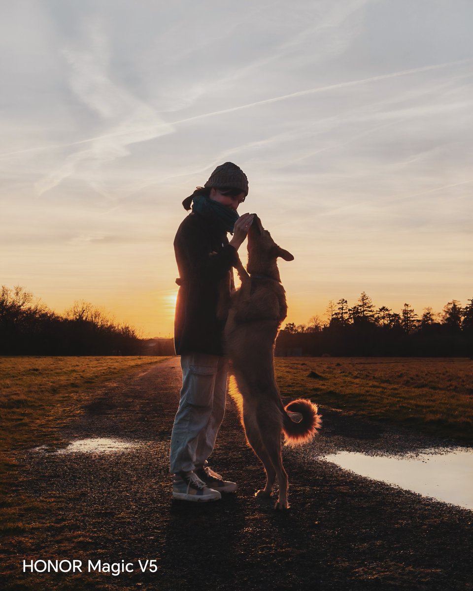 HONOR France tweet media