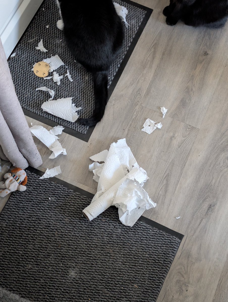 Hugo Frenel tweet media