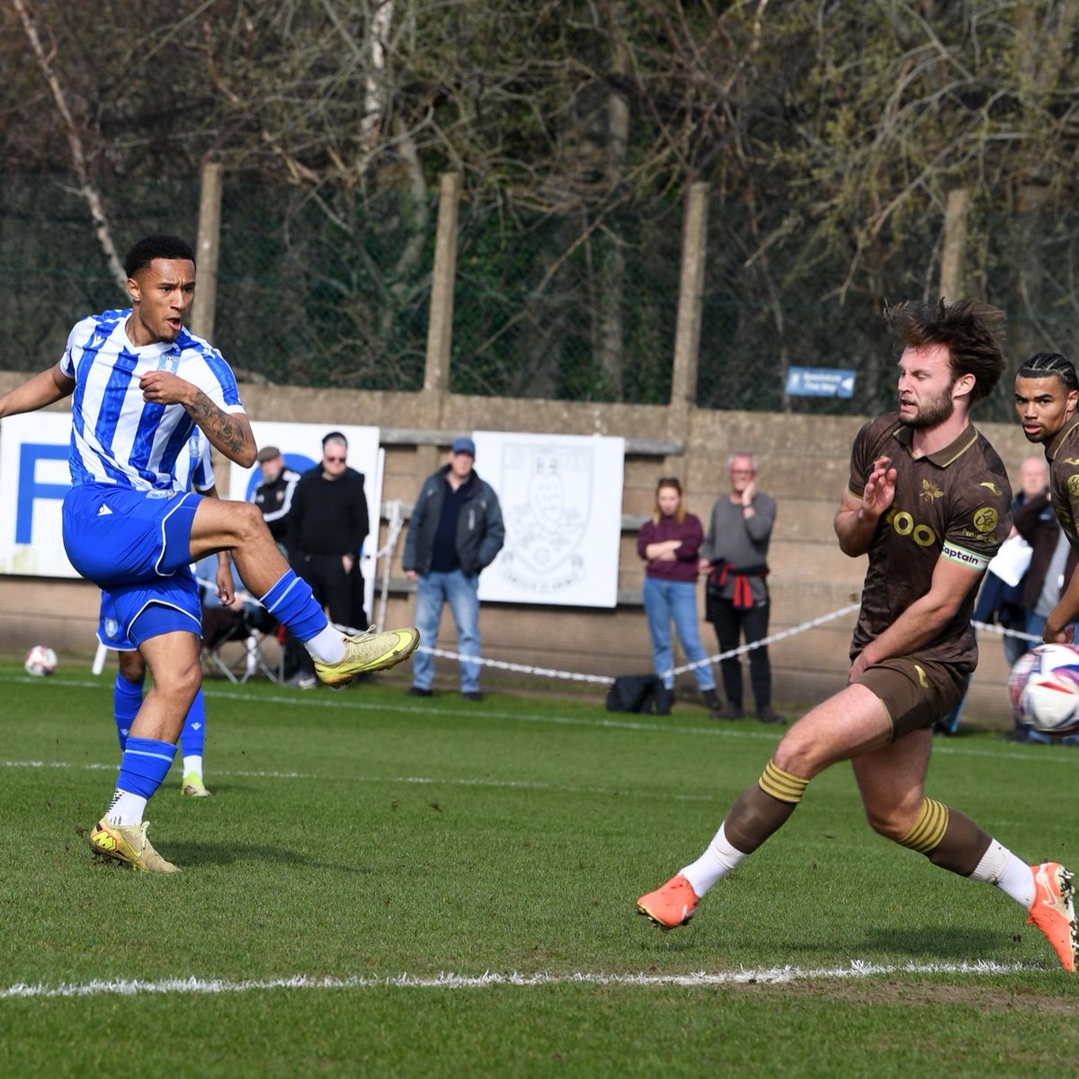 Sheffield Wednesday tweet media