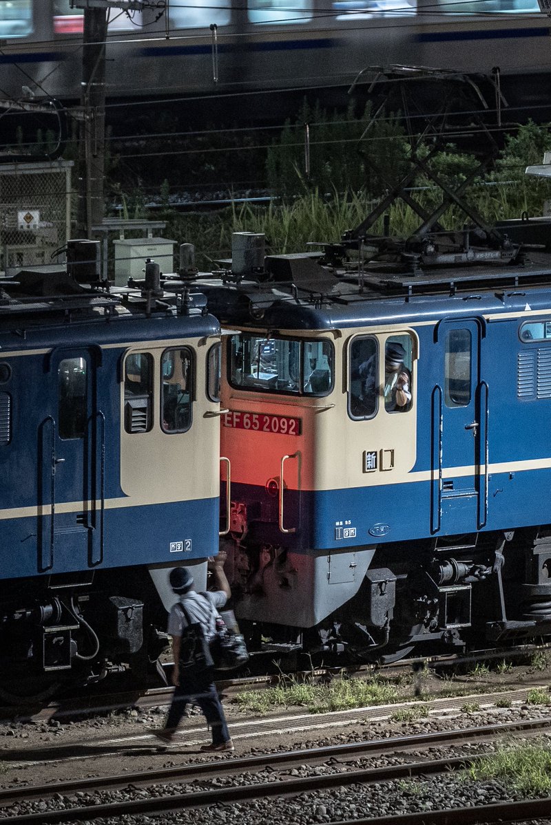 のっぽ tweet media