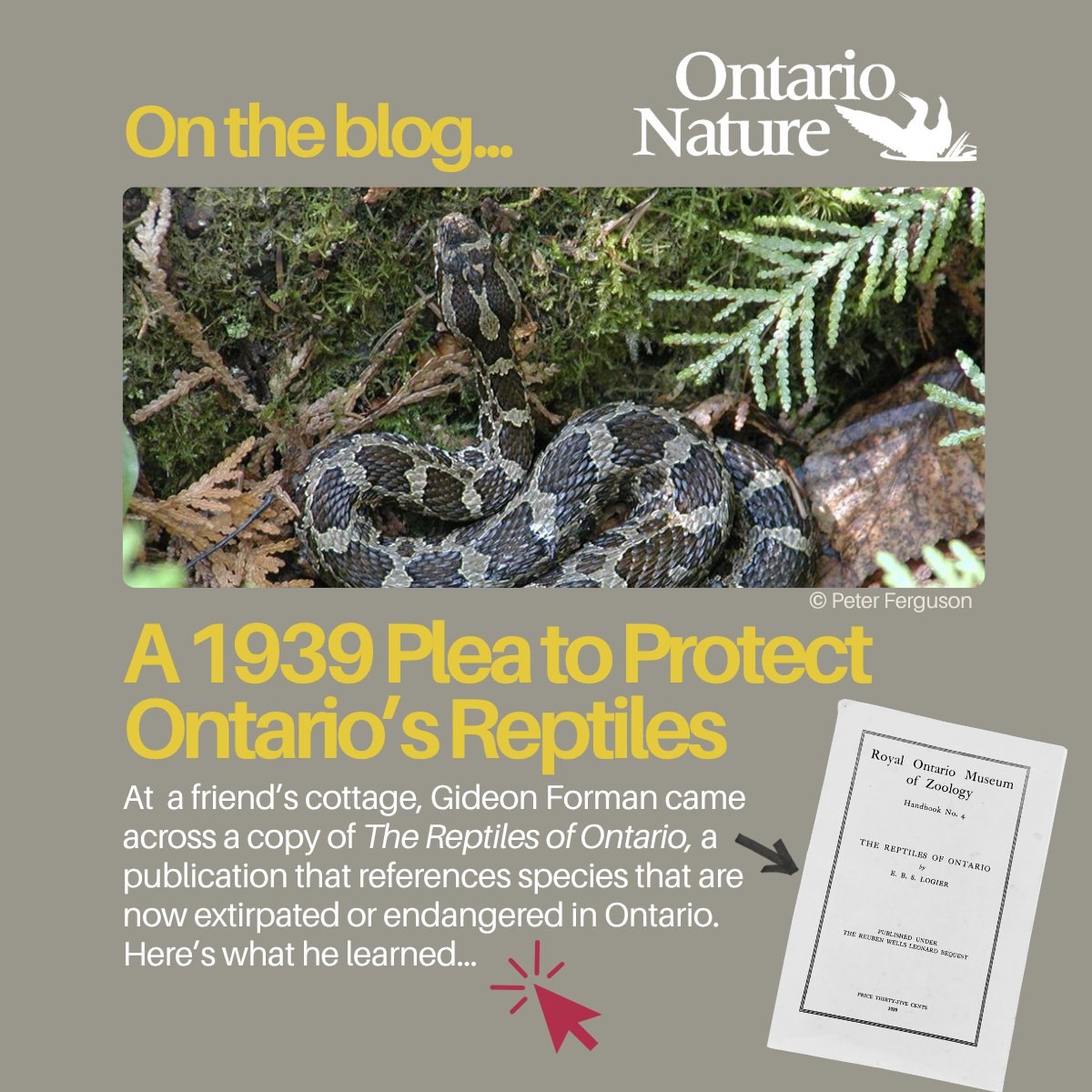 Ontario Nature tweet media