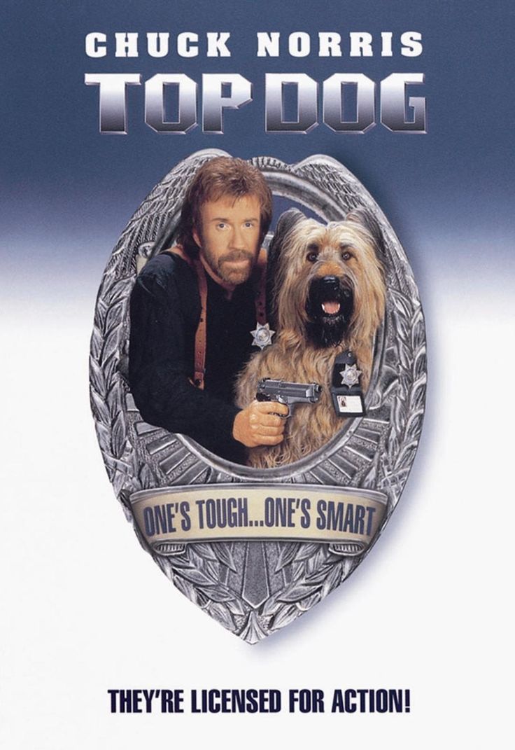 Paper_Heart_Jen's tweet image. RIP Chuck Norris...SIDEKICKS &amp;amp; TOP DOG were two of my most favorite movies as a kid. 😭